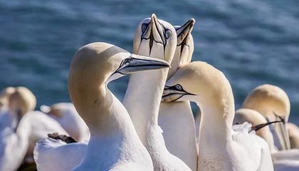 kaiyun开云入口平台-裁判判罚标准新规引发热议，裁判判罚标准新规引发热议规定